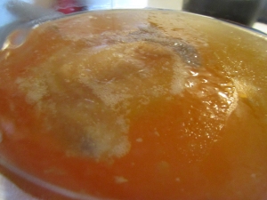 001Scoby Max day 3m