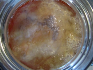 086m Scoby Max day 4